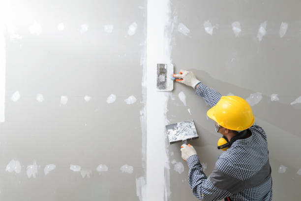 Best Real Estate Mold Inspection  in Ames, TX