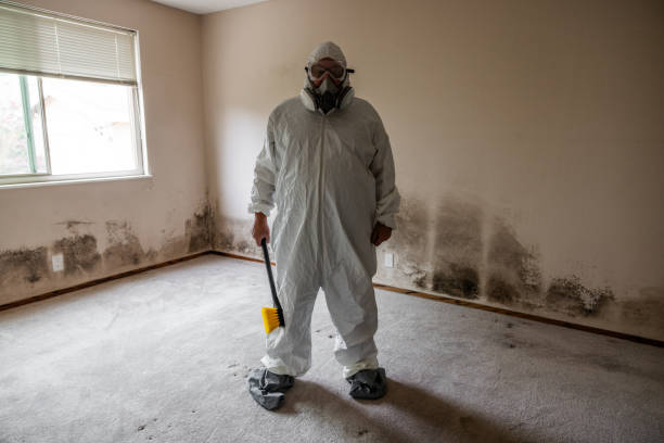 Best Emergency Mold Remediation  in Ames, TX